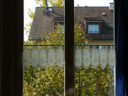Fenster02