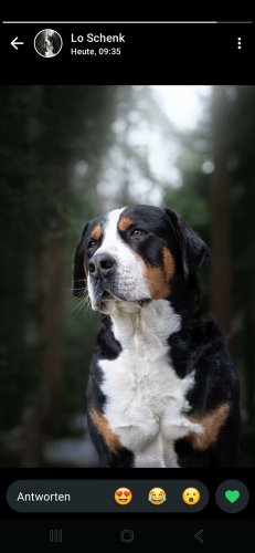 Tiere_7