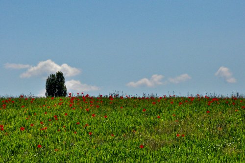 Landschaft17