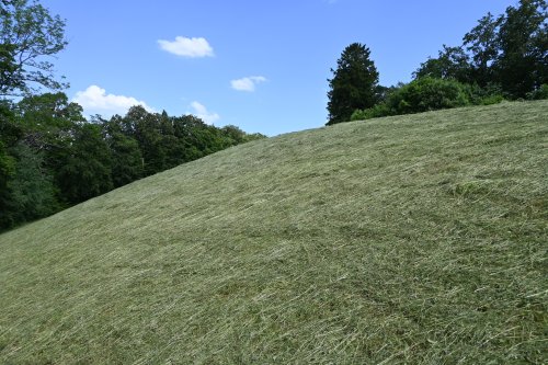 Landschaft19